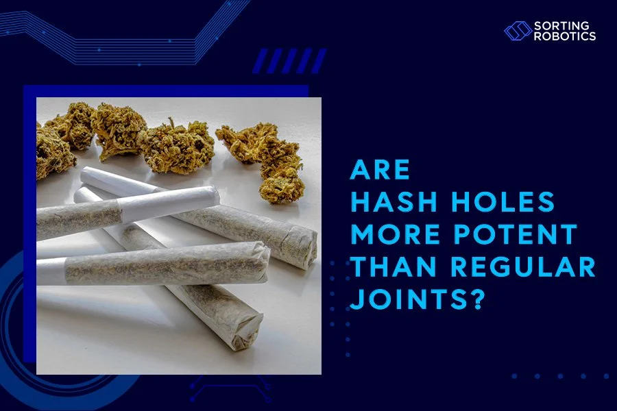 Are Hash Holes More Potent Than Regular Joints?
