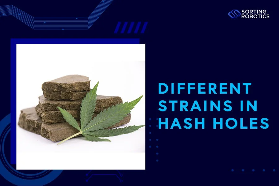 Different Strains in Hash Holes