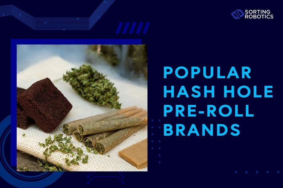 Popular Hash Hole Pre-Roll Brands