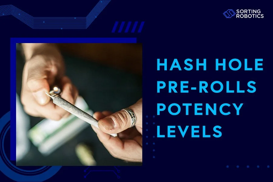 Hash Hole Pre-Rolls Potency Levels