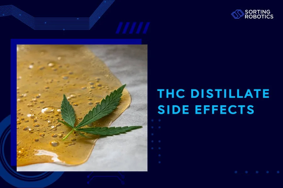 THC Distillate Side Effects