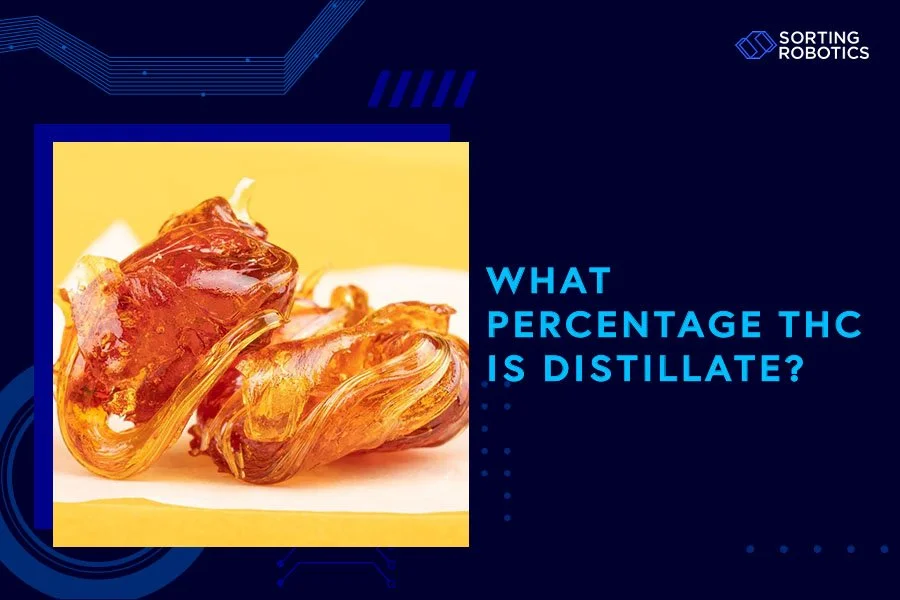 What Percent THC Is Distillate?