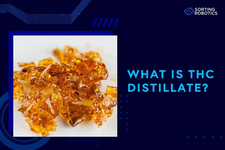 What Is THC Distillate?