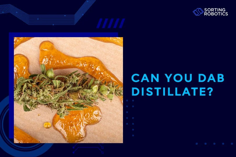 Can You Dab Distillate?