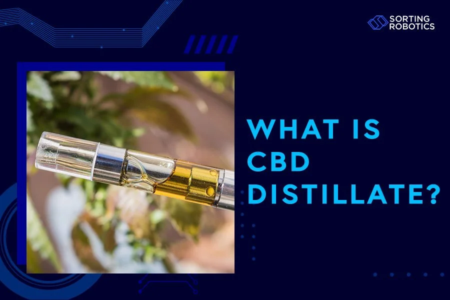 What Is CBD Distillate?