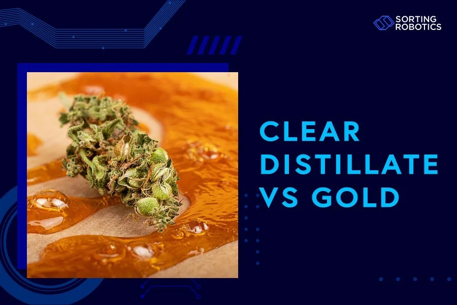 Clear Distillate vs Gold