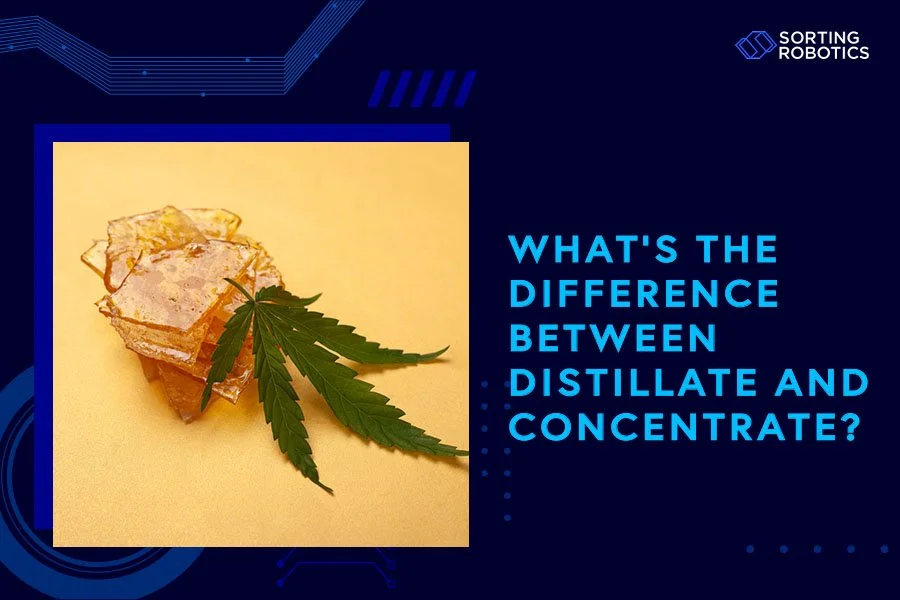What’s the Difference Between Distillate and Concentrate?