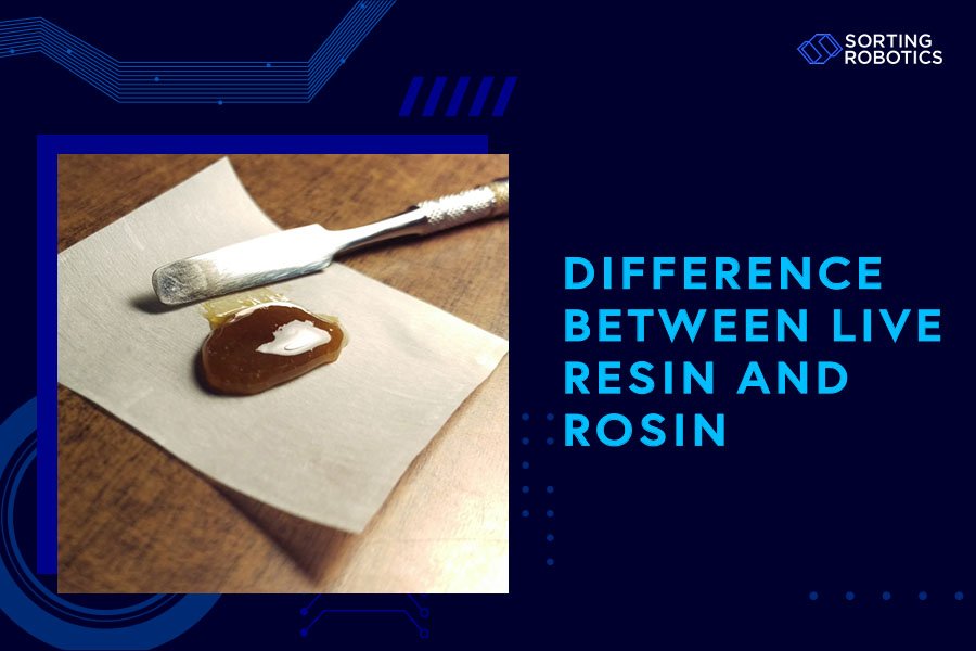 Difference Between Live Resin and Rosin