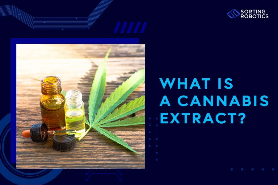 What Is a Cannabis Extract?