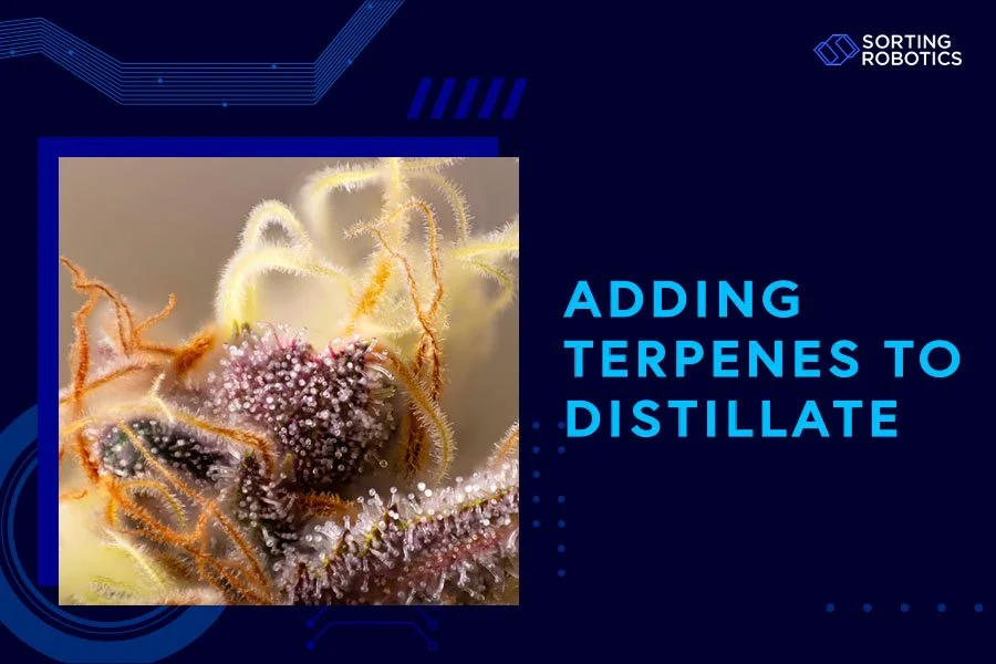 Adding Terpenes to Distillate