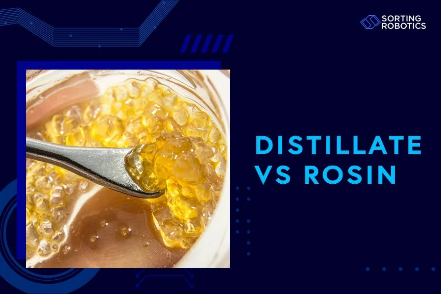 Distillate vs Rosin