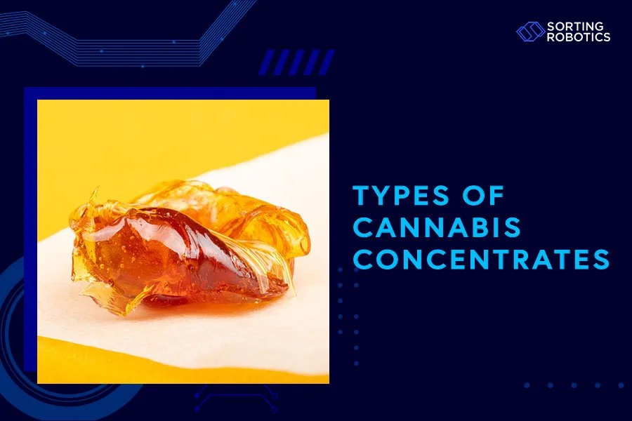 Types of Cannabis Concentrates
