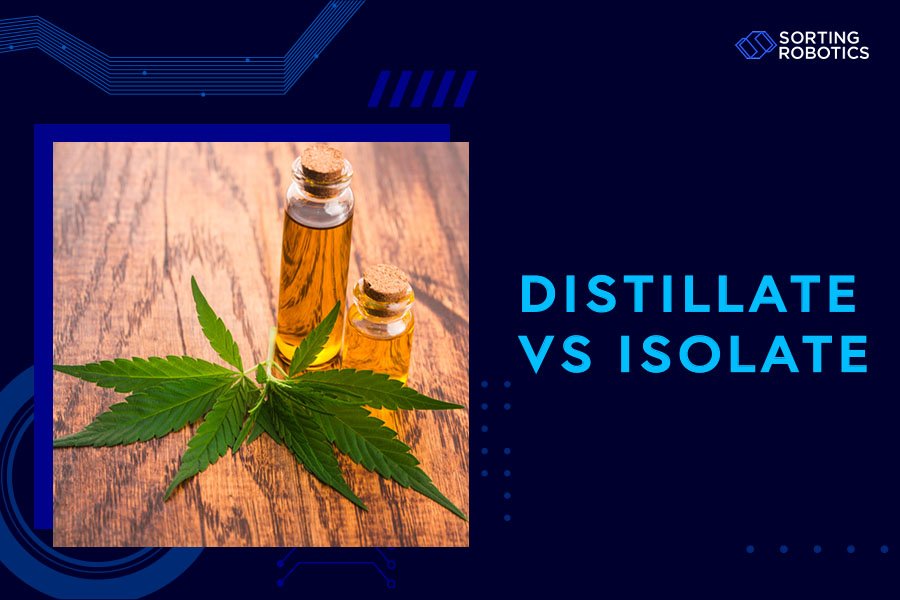 Distillate vs Isolate
