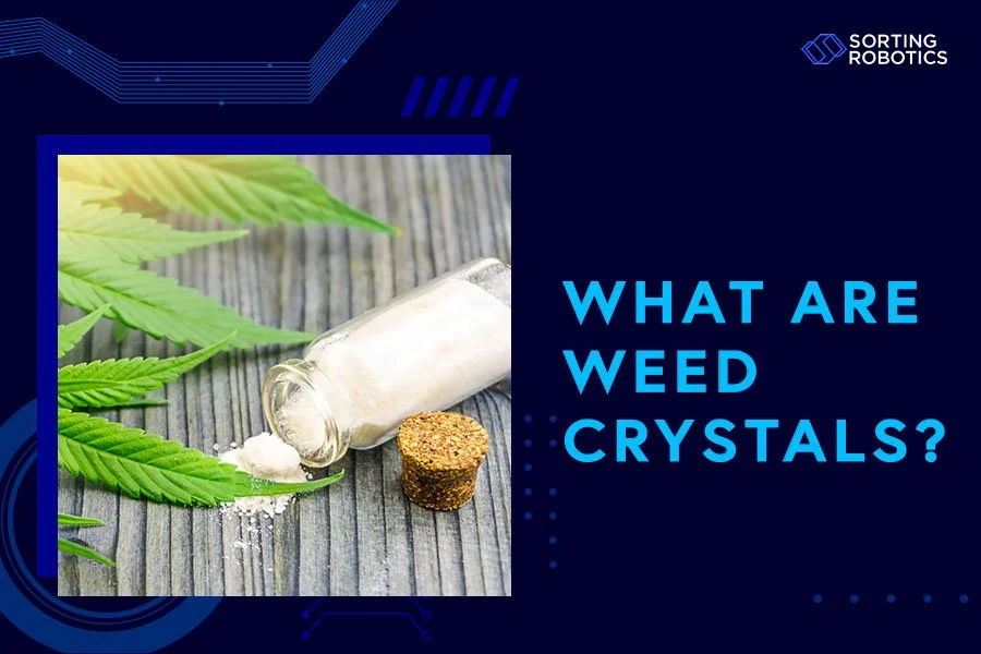 What Are Weed Crystals?