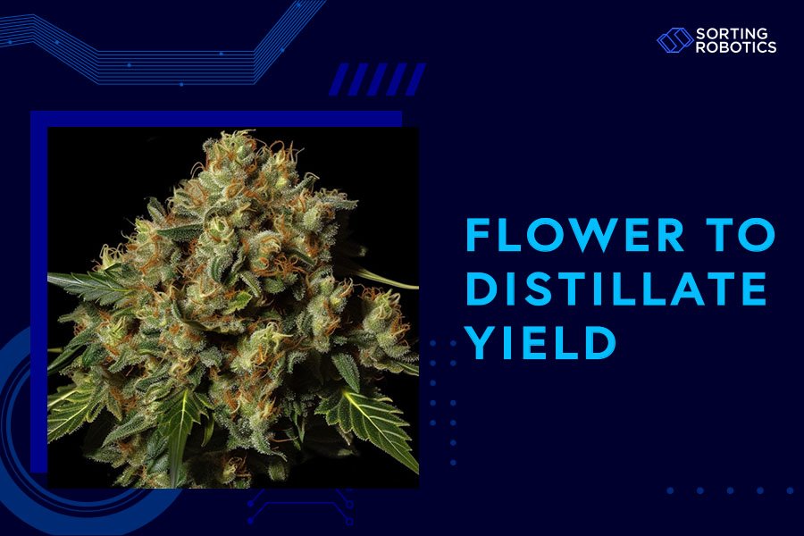 Flower to Distillate Yield
