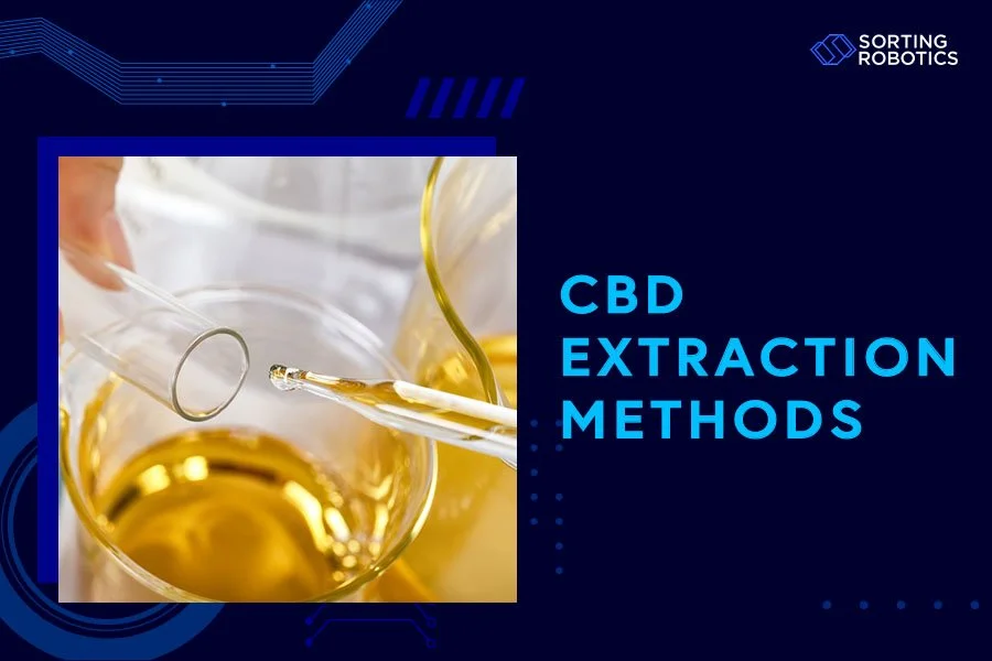CBD Extraction Methods 