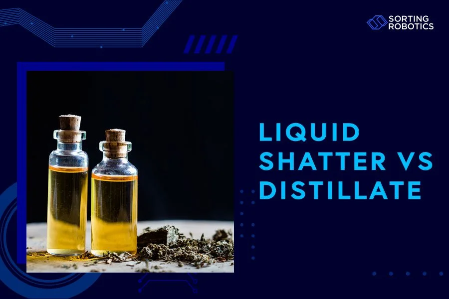 Liquid Shatter vs Distillate