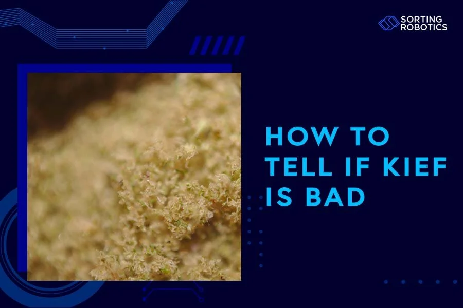 How to Tell if Kief Is Bad
