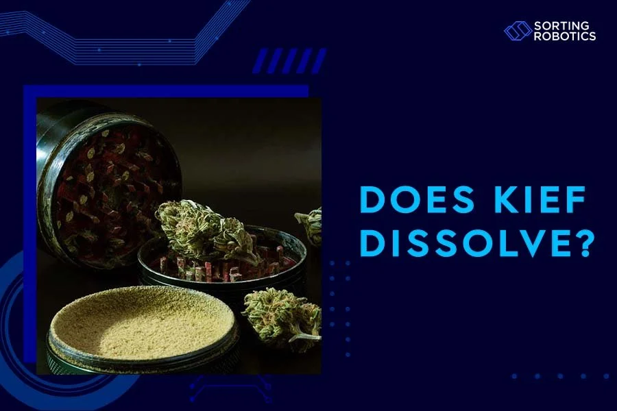 Does Kief Dissolve?