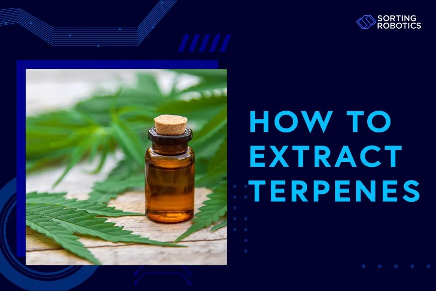 How to Extract Terpenes