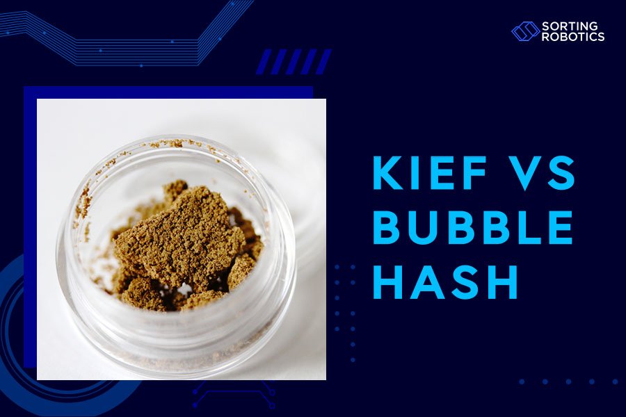 Kief vs Bubble Hash