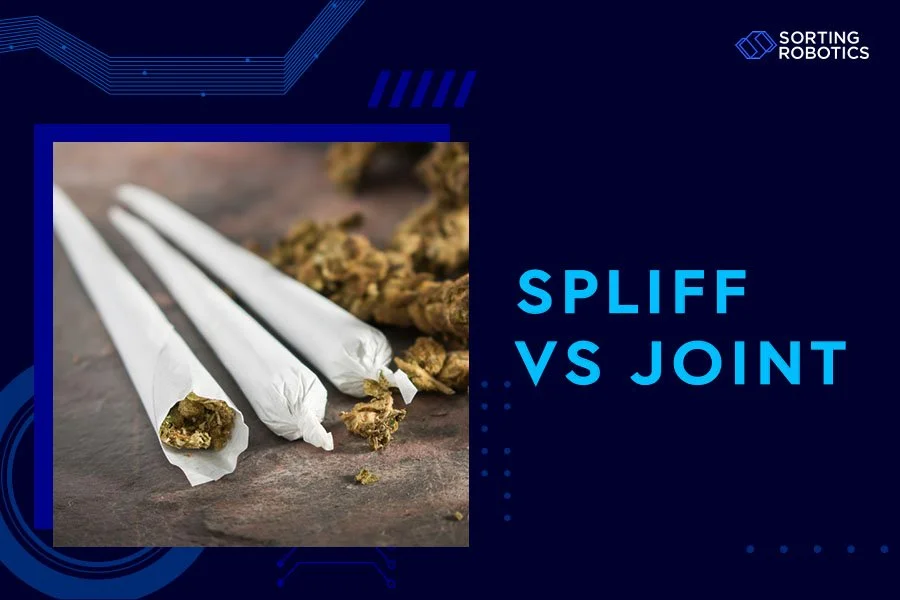 Spliff vs Joint