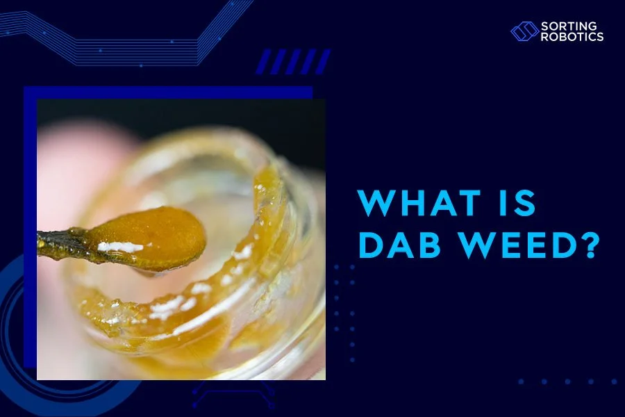 What Is Dab Weed?