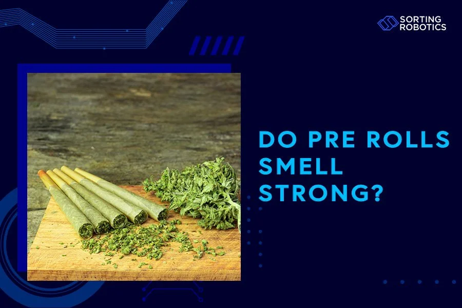 Do Pre-Rolls Smell Strong?