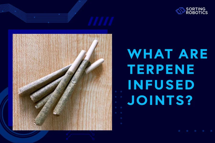 What Are Terpene Infused Joints?