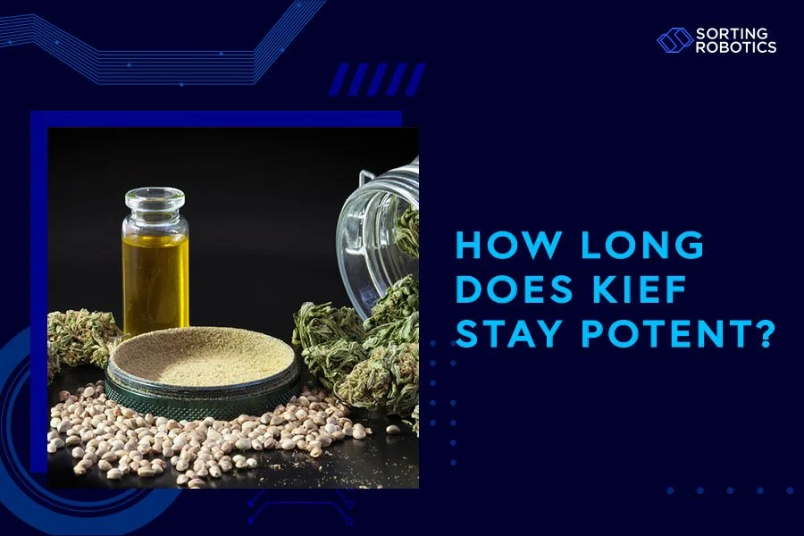 How Long Does Kief Stay Potent?