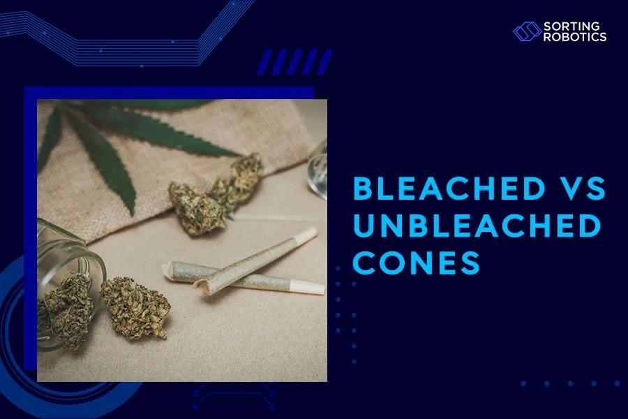 Bleached vs Unbleached Cones
