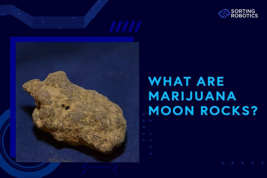 What Are Marijuana Moon Rocks?