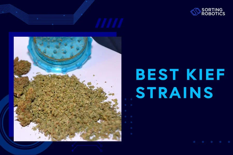 Best Kief Strains
