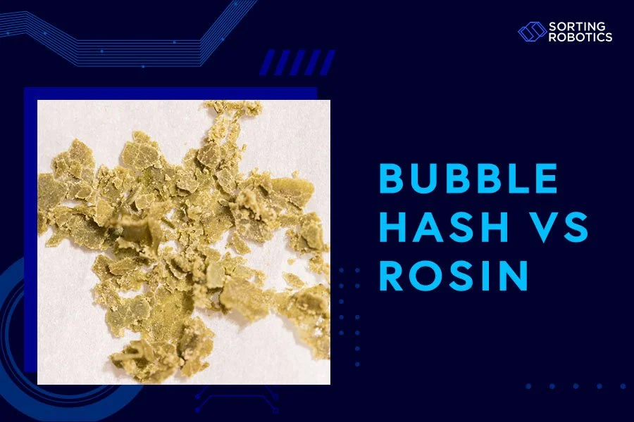 Bubble Hash vs Rosin