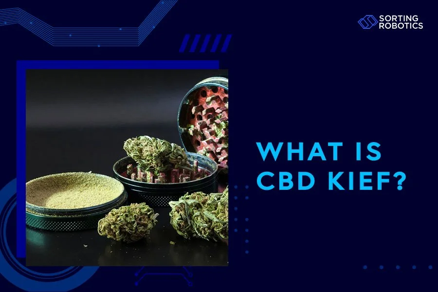 What Is CBD Kief?