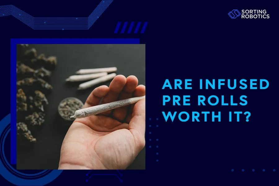 Are Infused Pre-Rolls Worth It?