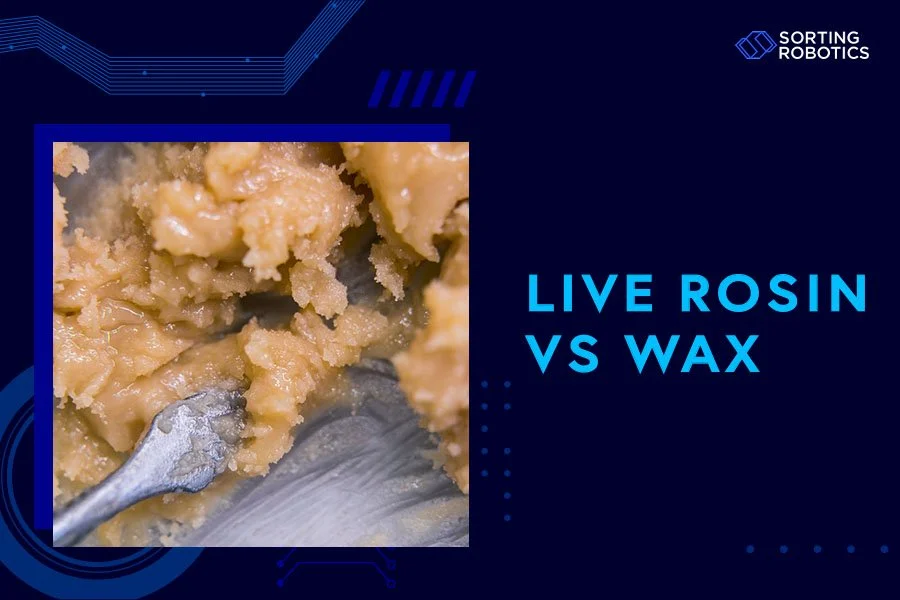 Live Rosin vs Wax