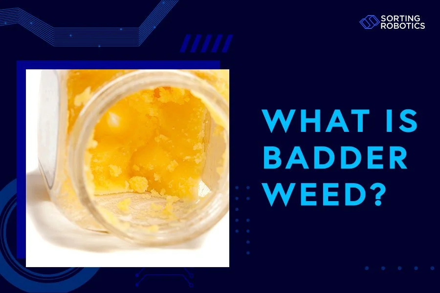 What Is Badder Weed?