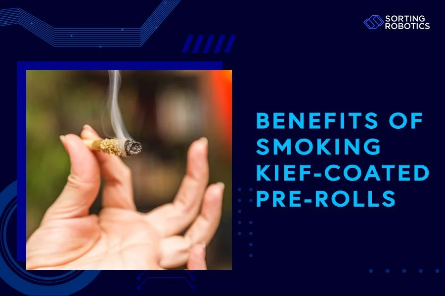 Benefits of Smoking Kief-Coated Pre-Rolls