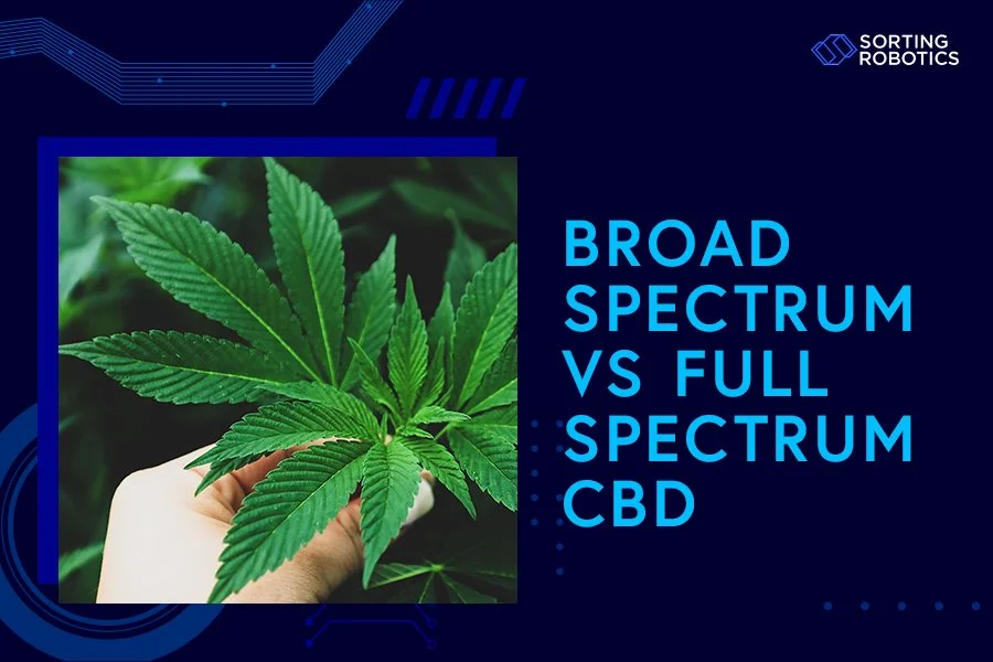 Broad Spectrum vs Full Spectrum CBD