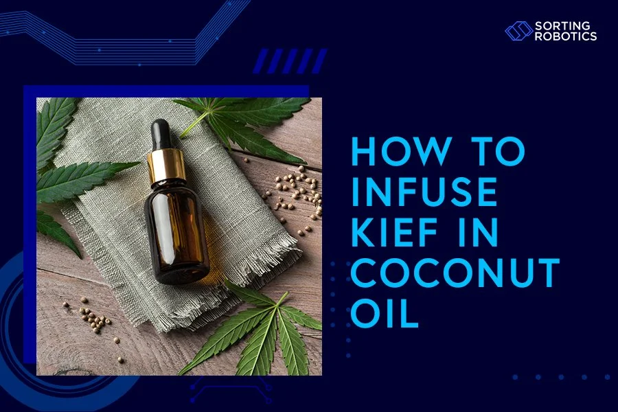 How to Infuse Kief in Coconut Oil