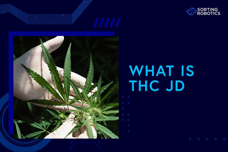 What Is THC JD?