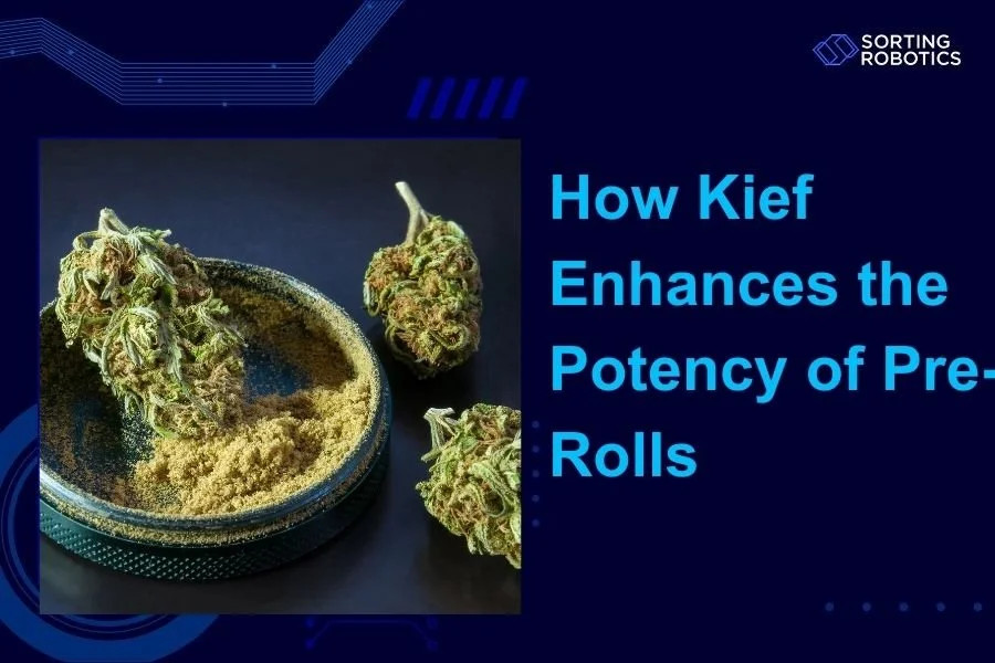 How Kief Enhances the Potency of Pre-Rolls