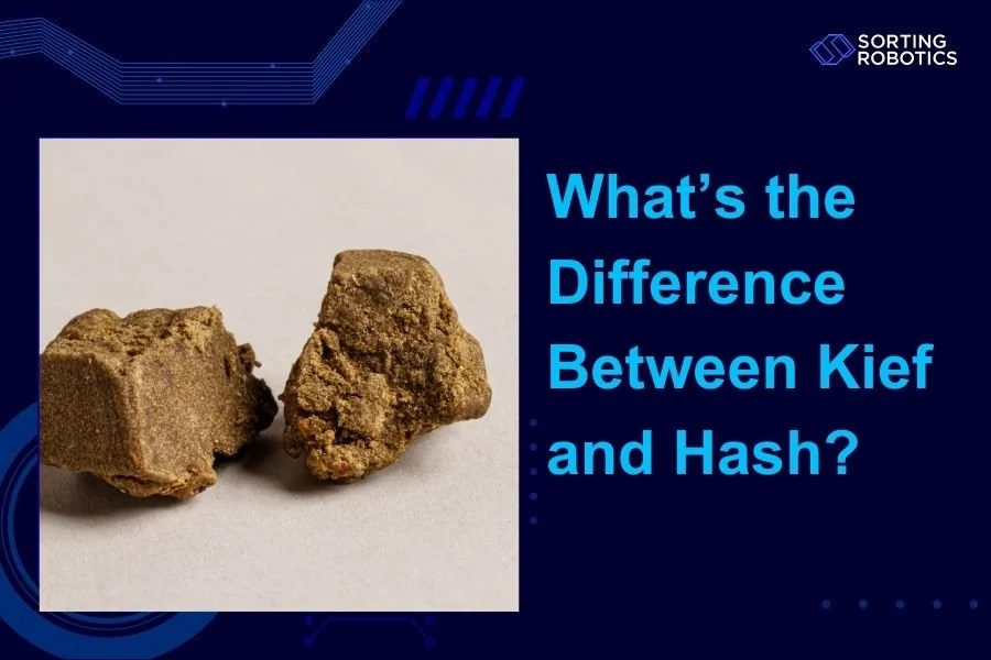 What’s the Difference Between Kief and Hash?