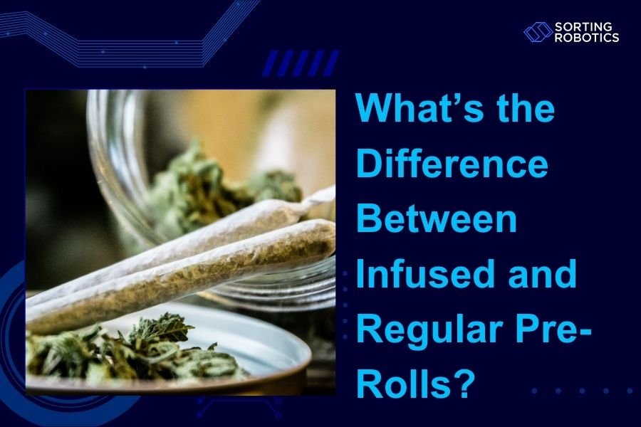 What’s the Difference Between Infused and Regular Pre-Rolls?