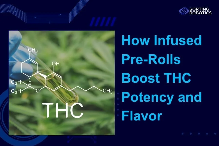 How Infused Pre-Rolls Boost THC Potency and Flavor