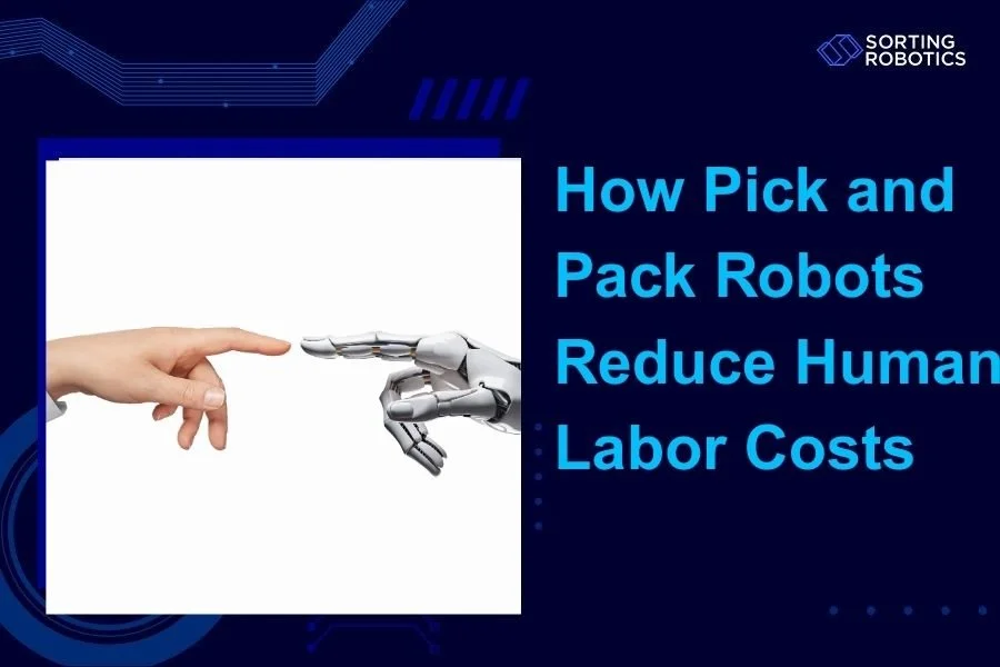 How Pick and Pack Robots Reduce Human Labor Costs
