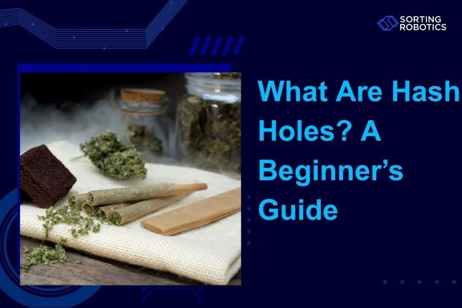 What Are Hash Holes? A Beginner’s Guide