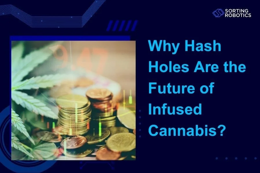 Why Hash Holes Are the Future of Infused Cannabis?