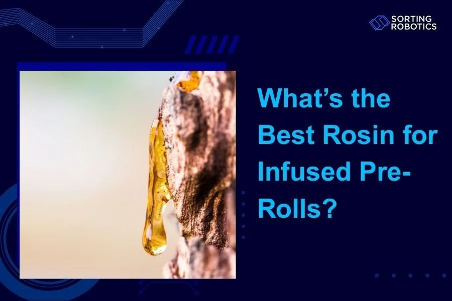 What’s the Best Rosin for Infused Pre-Rolls?